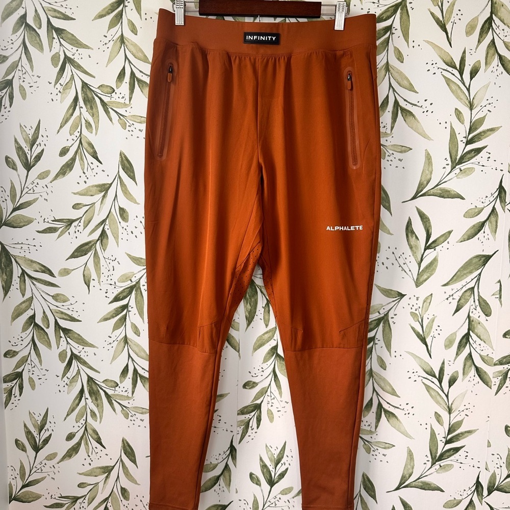 Alphalete Men's Infinity Tech Joggers. Large. Color Spice.